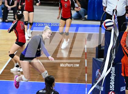 Thumbnail 1 in Lamar vs. Bayfield (CHSAA 3A 1st Round) photogallery.