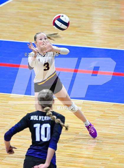 Thumbnail 3 in Lamar vs. Bayfield (CHSAA 3A 1st Round) photogallery.