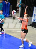 Photo from the gallery "Lamar vs. Bayfield (CHSAA 3A 1st Round)"