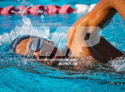Thumbnail 2 in Knight @ Quartz Hill photogallery.