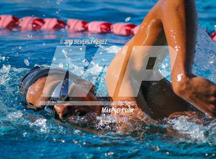 Thumbnail 1 in Knight @ Quartz Hill photogallery.