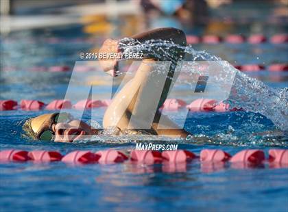 Thumbnail 2 in Knight @ Quartz Hill photogallery.