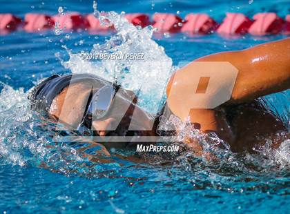 Thumbnail 2 in Knight @ Quartz Hill photogallery.