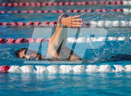 Thumbnail 2 in Knight @ Quartz Hill photogallery.