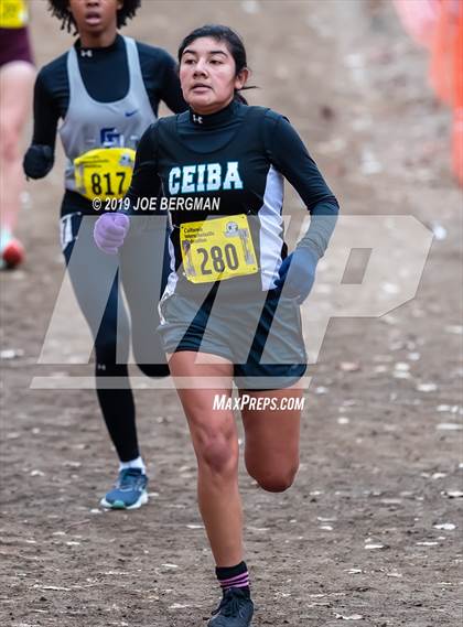 Thumbnail 1 in CIF State Cross Country Championships (Girls D5 Race) photogallery.