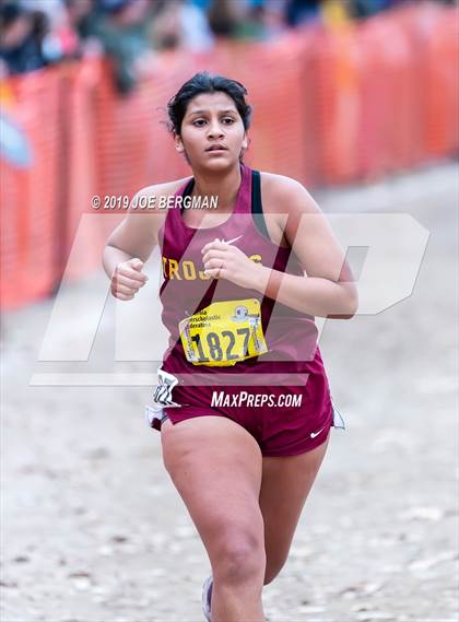 Thumbnail 3 in CIF State Cross Country Championships (Girls D5 Race) photogallery.