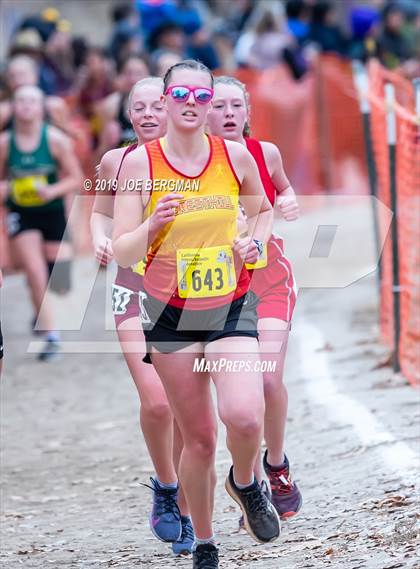 Thumbnail 1 in CIF State Cross Country Championships (Girls D5 Race) photogallery.