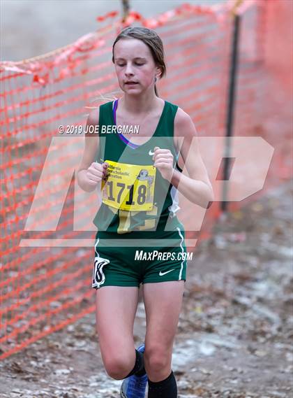 Thumbnail 2 in CIF State Cross Country Championships (Girls D5 Race) photogallery.