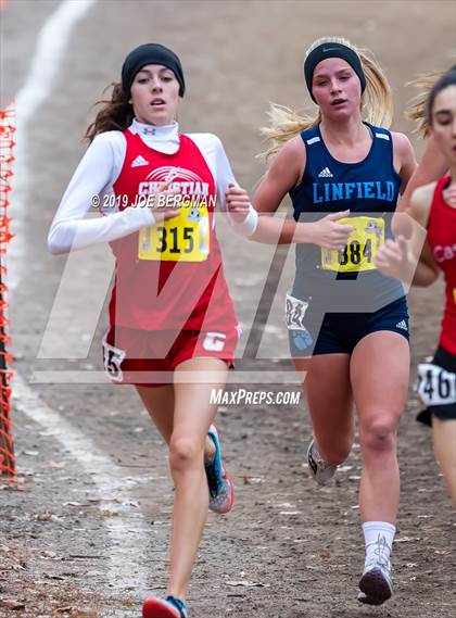 Thumbnail 1 in CIF State Cross Country Championships (Girls D5 Race) photogallery.