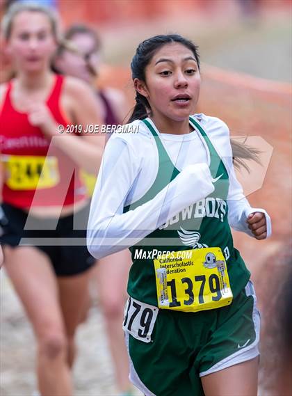 Thumbnail 1 in CIF State Cross Country Championships (Girls D5 Race) photogallery.