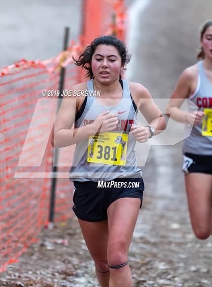 Thumbnail 1 in CIF State Cross Country Championships (Girls D5 Race) photogallery.