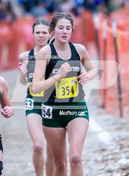 Thumbnail 1 in CIF State Cross Country Championships (Girls D5 Race) photogallery.