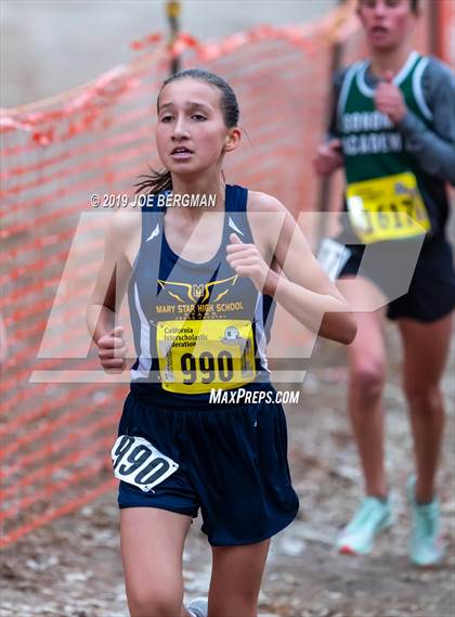Thumbnail 1 in CIF State Cross Country Championships (Girls D5 Race) photogallery.