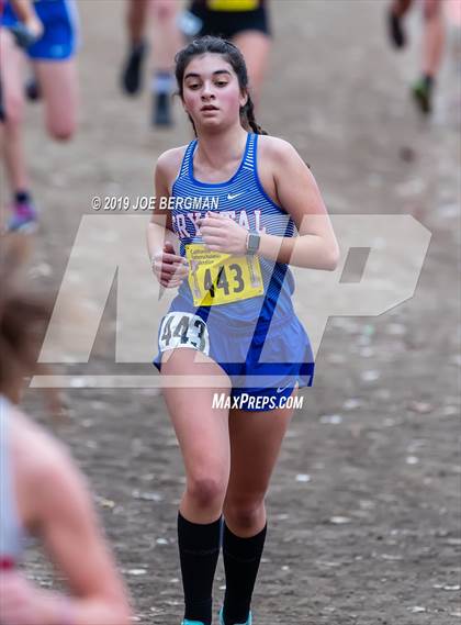 Thumbnail 2 in CIF State Cross Country Championships (Girls D5 Race) photogallery.