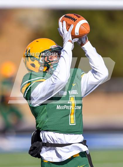 Thumbnail 2 in Arbor View @ Bishop Manogue (NIAA 4A Semifinal) photogallery.
