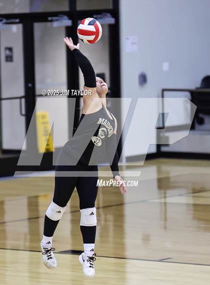 Thumbnail 2 in Santo vs Comanche (scrimmage) photogallery.