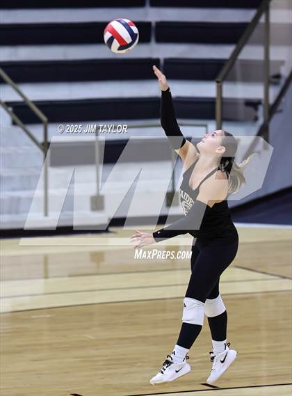 Thumbnail 1 in Santo vs Comanche (scrimmage) photogallery.