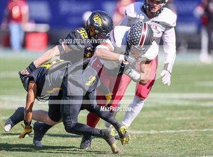 Thumbnail 1 in Red Mountain @ Saguaro (AIA 6A Final) photogallery.