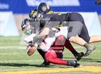 Photo from the gallery "Red Mountain @ Saguaro (AIA 6A Final)"