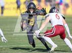 Photo from the gallery "Red Mountain @ Saguaro (AIA 6A Final)"