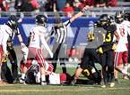 Photo from the gallery "Red Mountain @ Saguaro (AIA 6A Final)"