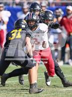 Photo from the gallery "Red Mountain @ Saguaro (AIA 6A Final)"