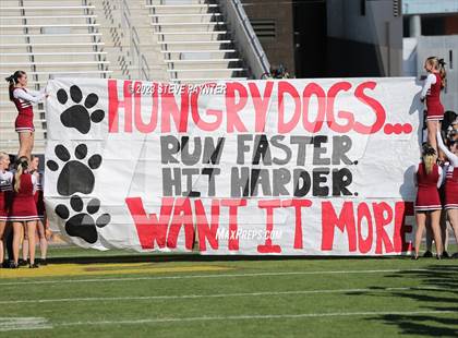Thumbnail 1 in Red Mountain @ Saguaro (AIA 6A Final) photogallery.