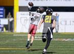 Photo from the gallery "Red Mountain @ Saguaro (AIA 6A Final)"