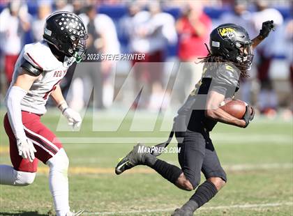 Thumbnail 2 in Red Mountain @ Saguaro (AIA 6A Final) photogallery.