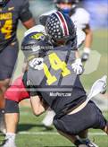 Photo from the gallery "Red Mountain @ Saguaro (AIA 6A Final)"