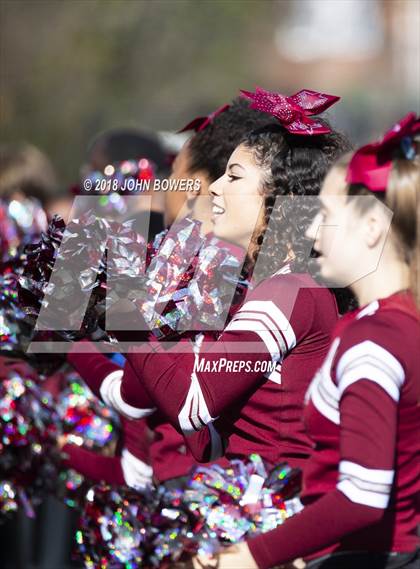 Thumbnail 3 in Pikesville @ Towson photogallery.