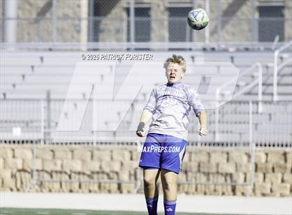 Thumbnail 1 in MacArthur @ Jay photogallery.