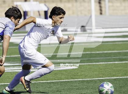 Thumbnail 2 in MacArthur @ Jay photogallery.