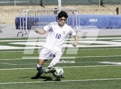 Thumbnail 1 in MacArthur @ Jay photogallery.