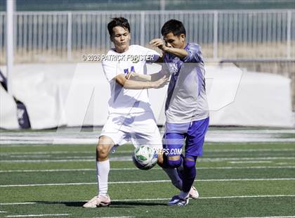 Thumbnail 2 in MacArthur @ Jay photogallery.