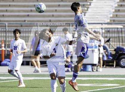 Thumbnail 1 in MacArthur @ Jay photogallery.