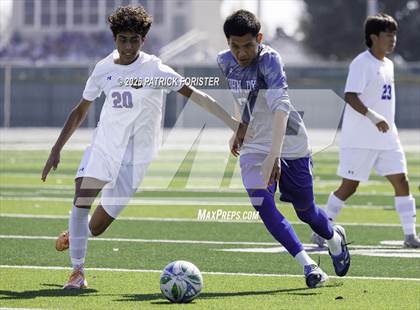 Thumbnail 1 in MacArthur @ Jay photogallery.