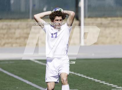 Thumbnail 3 in MacArthur @ Jay photogallery.