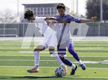 Thumbnail 2 in MacArthur @ Jay photogallery.