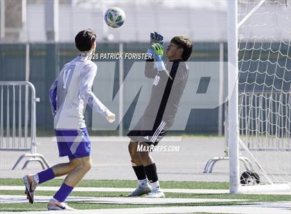 Thumbnail 2 in MacArthur @ Jay photogallery.