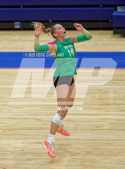 Thumbnail 3 in Buford @ Walton (GHSA AAAAAA State Volleyball Quarterfinal) photogallery.
