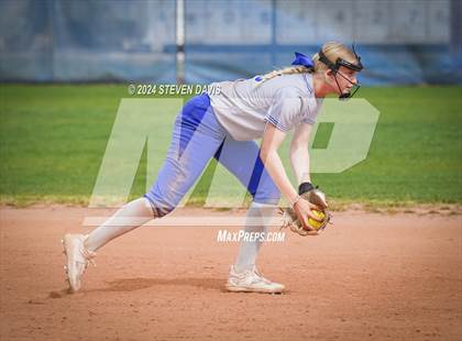 Thumbnail 3 in Dobson vs Sahuaro photogallery.