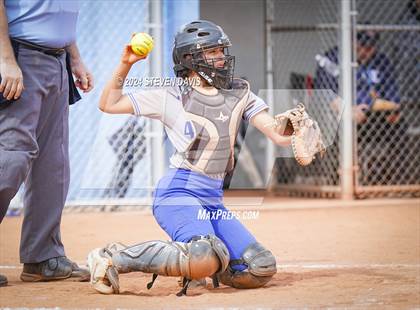Thumbnail 1 in Dobson vs Sahuaro photogallery.