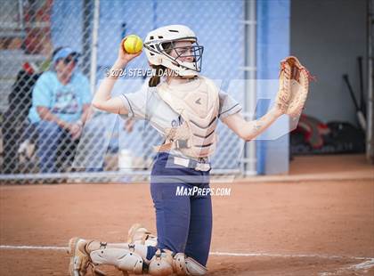 Thumbnail 1 in Dobson vs Sahuaro photogallery.