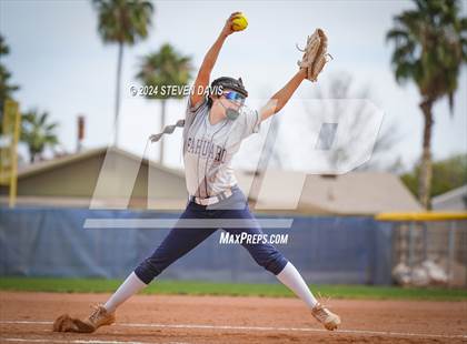 Thumbnail 1 in Dobson vs Sahuaro photogallery.