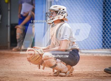 Thumbnail 3 in Dobson vs Sahuaro photogallery.
