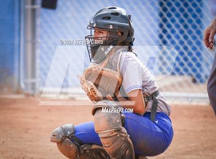 Thumbnail 2 in Dobson vs Sahuaro photogallery.