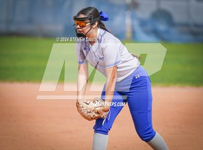Thumbnail 1 in Dobson vs Sahuaro photogallery.