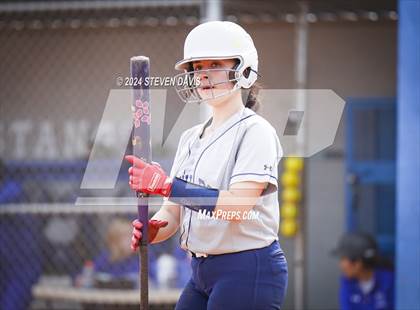Thumbnail 1 in Dobson vs Sahuaro photogallery.