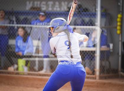 Thumbnail 1 in Dobson vs Sahuaro photogallery.